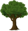 vabtree